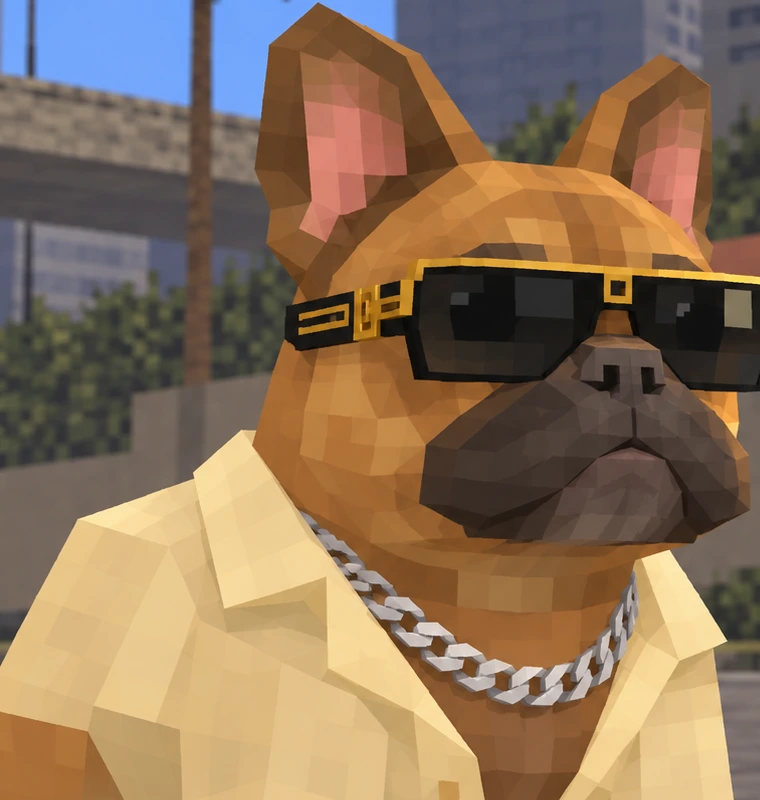 DAWGPE portrait